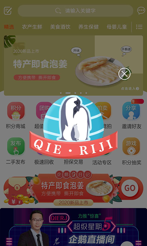 企鹅日历