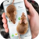 Mouse翻译