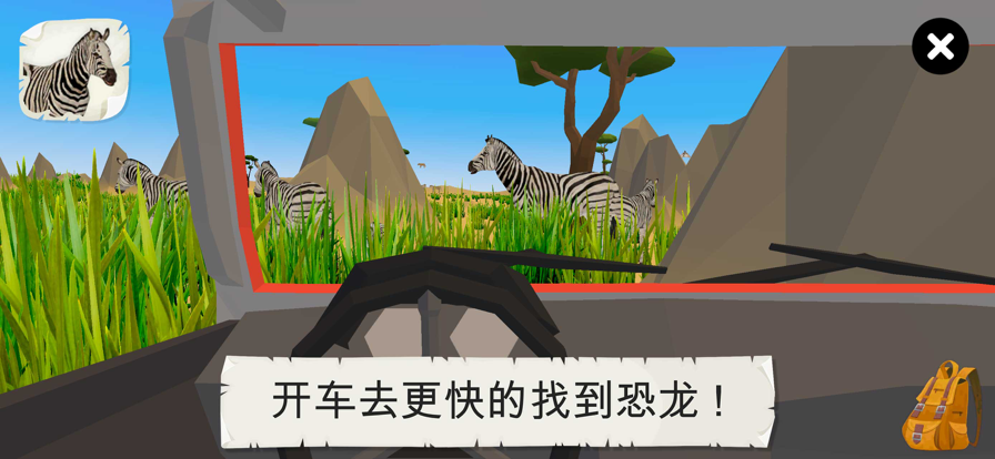 野生动物