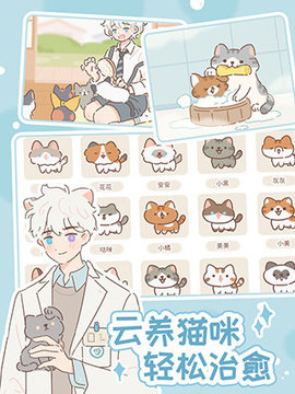 遇见你的猫游戏