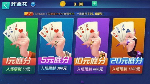武冈大联盟