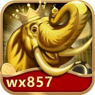 万象国际v67.998