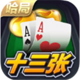 哈局十三张v62.495