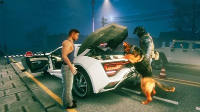 边境警察2020
