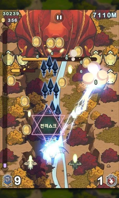 飞龙骑士